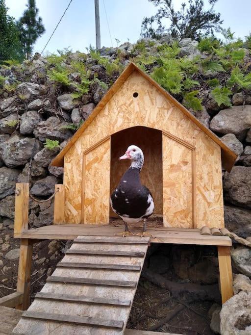 Los Huertos Conect With The Nature & Relax Icod De Los Vinos Zewnętrze zdjęcie