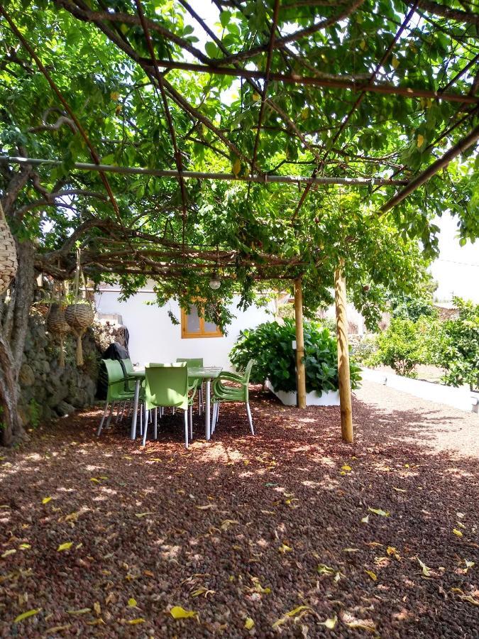 Los Huertos Conect With The Nature & Relax Icod De Los Vinos Zewnętrze zdjęcie